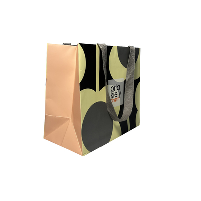 100gsm-450gsm Fashionable Luxury Tote Paper Bag With Handle