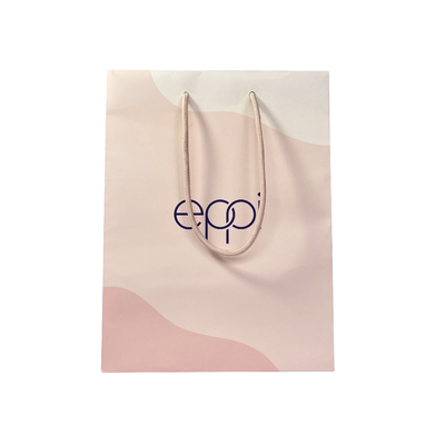 Custom Size Cotton Handle Printed Small Paper Gift Bags For Jewelry Box