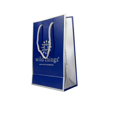 Pantone Color Ivory Board Jewellery Handbags Custom Paper Shopping Bags