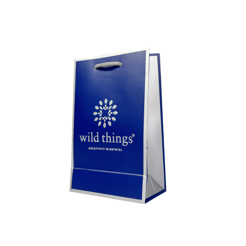 Pantone Color Ivory Board Jewellery Handbags Custom Paper Shopping Bags