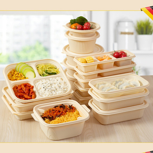 Biodegradable Disposable Takeaway Food Container