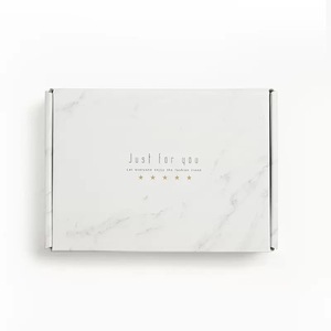 Multi-size Custom Corrugated Mailer Box Laminated 3-Layer Airplane Box